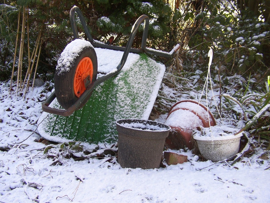 Winter garden care