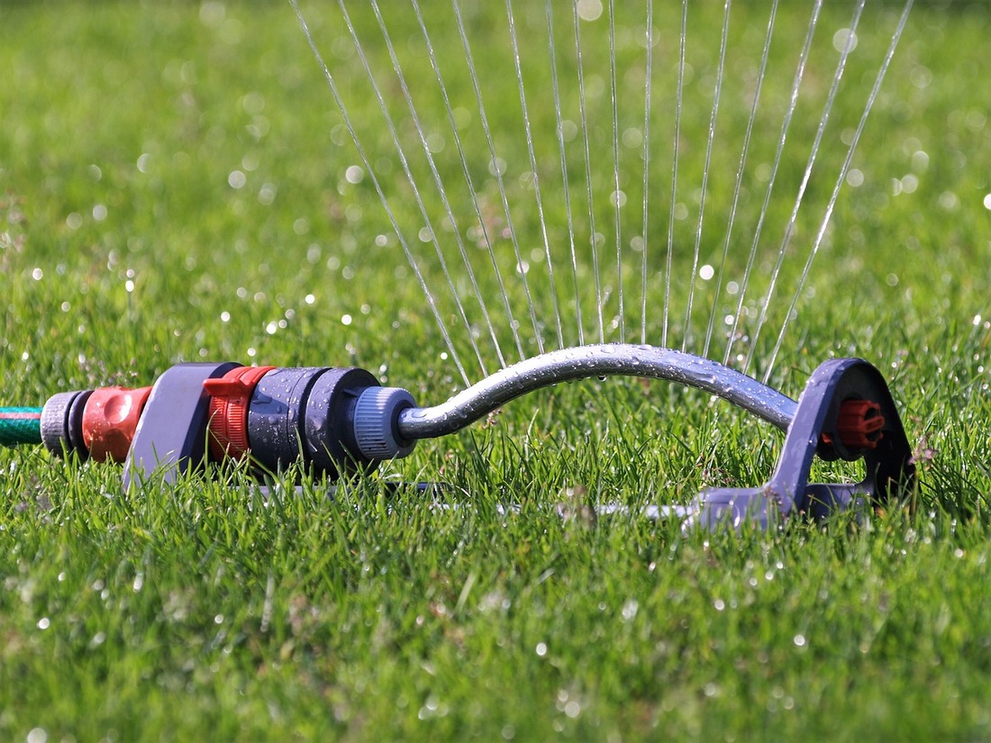 Summer Lawn Care