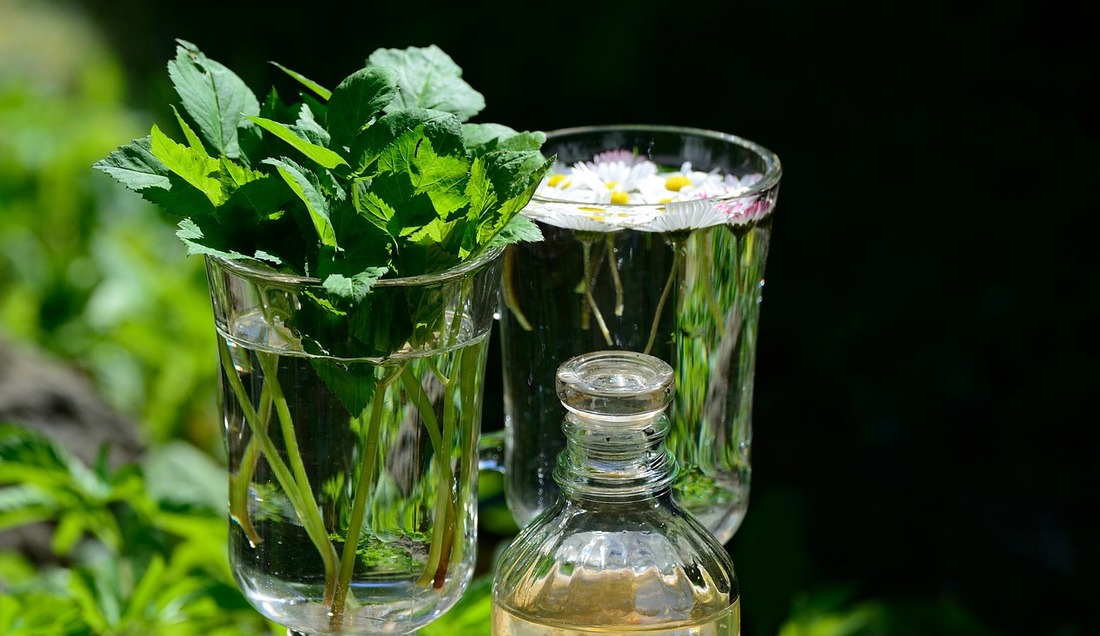 Growing Herbs Indoors