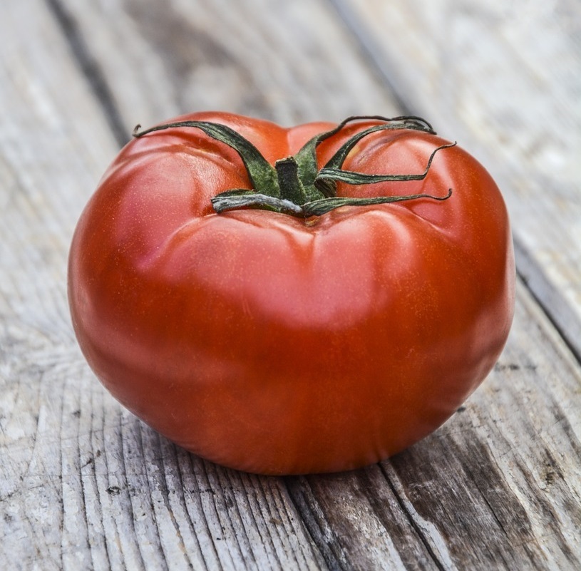 Best Tomato Growing Tips