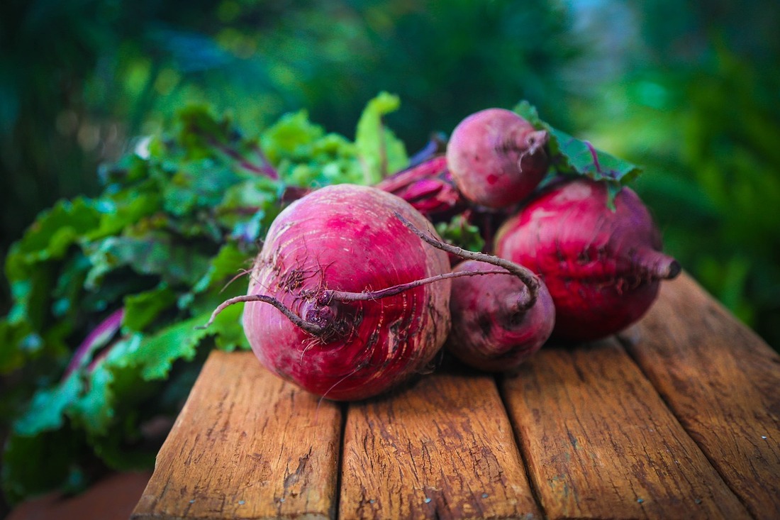 Fall Vegetable Gardening