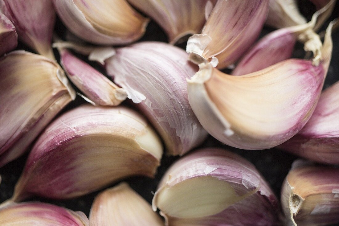 Garlic Planting Tips