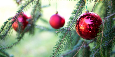 HOW TO SELECT AND CARE FOR YOUR CHRISTMAS TREE