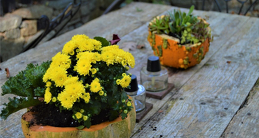 MAKE A FESTIVE FALL GOURD PLANTER