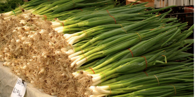 HOW TO REGROW VEGETABLES FROM KITCHEN SCRAPS