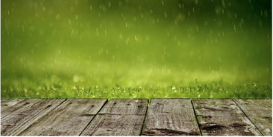 IS TOO MUCH RAIN BAD FOR YOUR LAWN AND GARDENS?