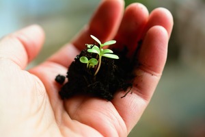 The ABC's Of Gardening: The Importance Of Quality Soil