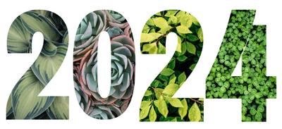 Top Gardening Trends of 2024