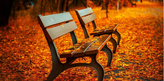 7 FACTS ABOUT AUTUMN YOU PROBABLY DID NOT KNOW