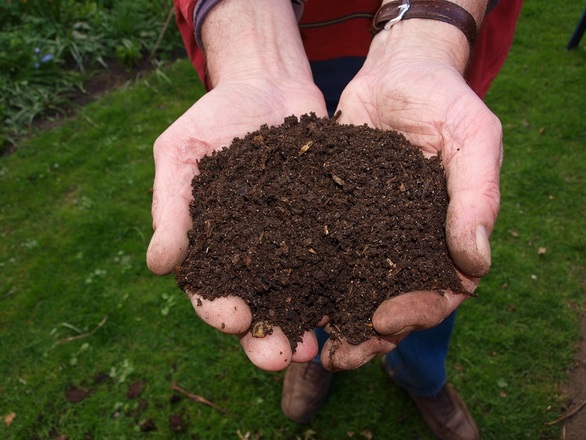 Composting at Home: The Pros and Cons You Need to Know