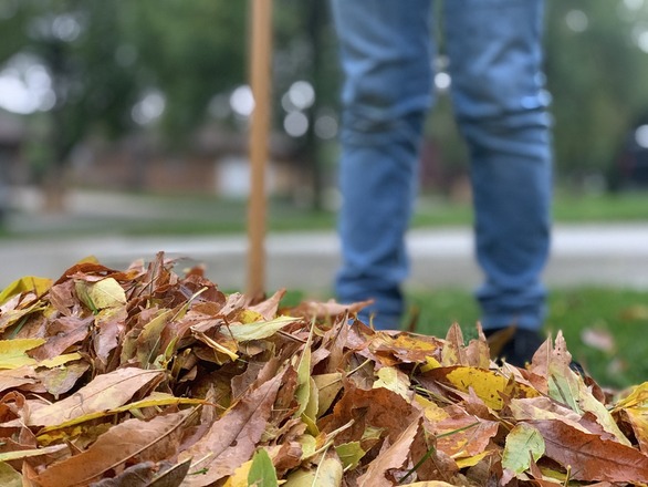 Is It Safe To Use Leaves For Garden Mulch